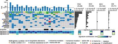 Immune checkpoint inhibitors for unresectable or metastatic pleomorphic dermal sarcomas